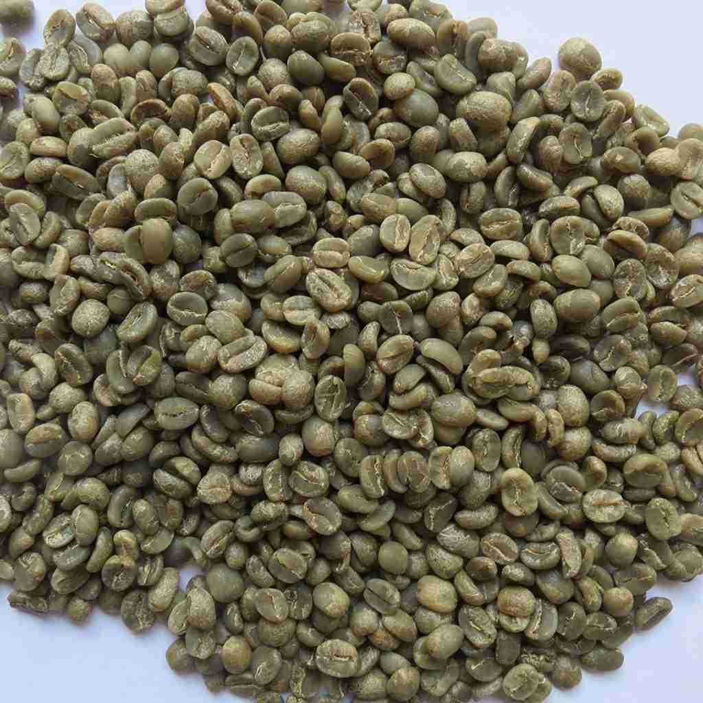 A pile of green coffee, ready to be roasted.