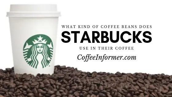 What Kind Of Coffee Beans Does Starbucks Use Coffee Informer