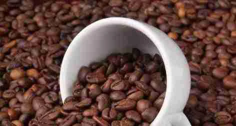How to Roast Coffee Beans at Home 7 Medium Roast coffee beans in a white cup.