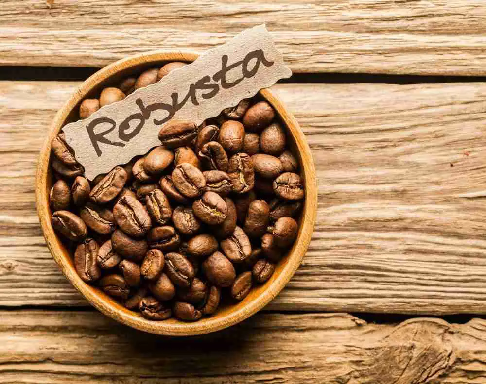 A bowl of robusta coffee beans with a label saying "robusta"