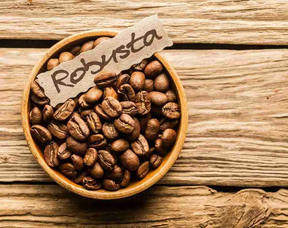 Un tazón de granos de café robusta con una etiqueta que dice "robusta""robusta"