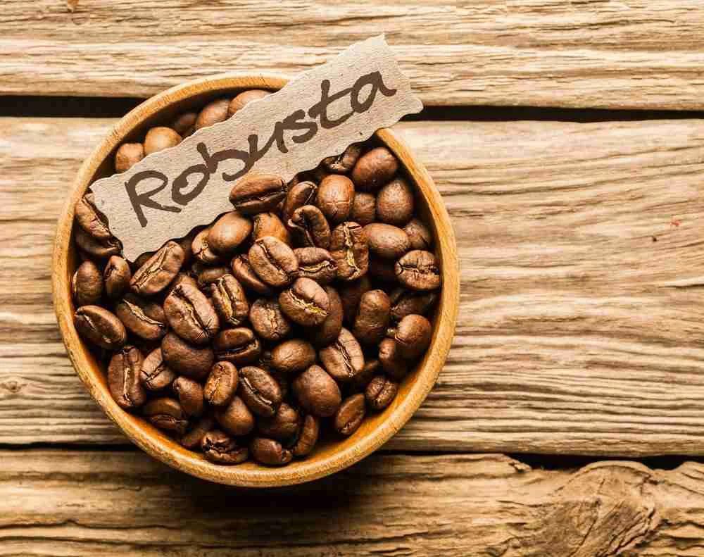 What Kind of Coffee Beans Does Starbucks Use? 9 A bowl of robusta coffee beans with a label saying "robusta"