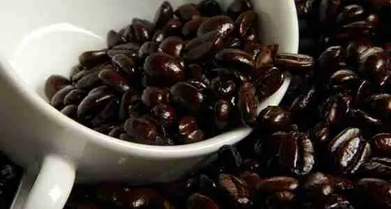 Oily dark roasted coffee beans.