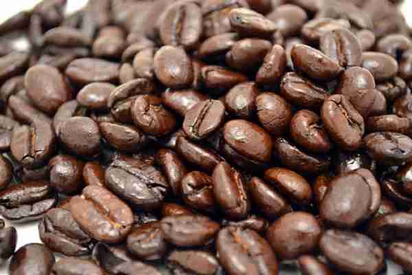 Medium-dark roast coffee beans with a slight sheen of oil.