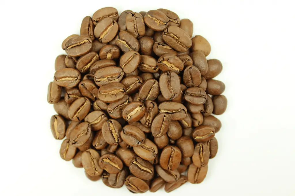 A pile of lightly roasted coffee beans.