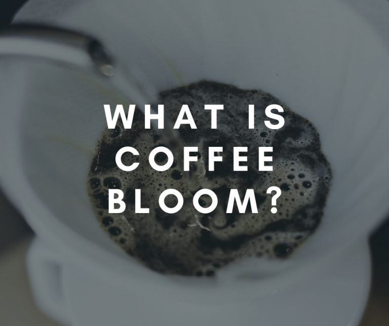 What is Coffee Bloom & How to Bloom Coffee Coffee Informer