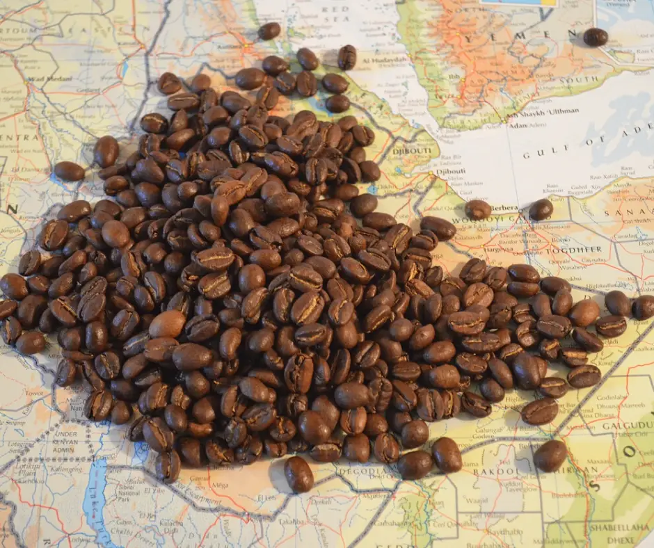 1850 coffee caffeine content
