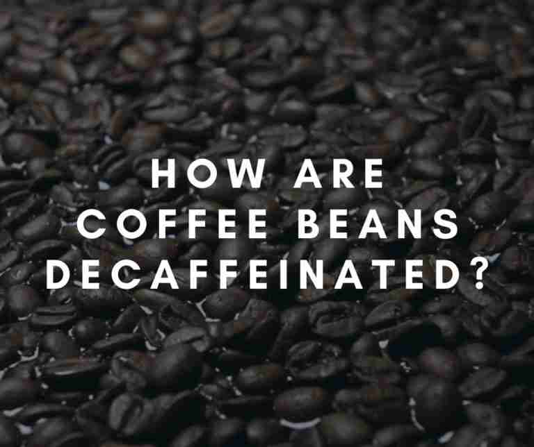 How are Coffee Beans Decaffeinated? Coffee Informer