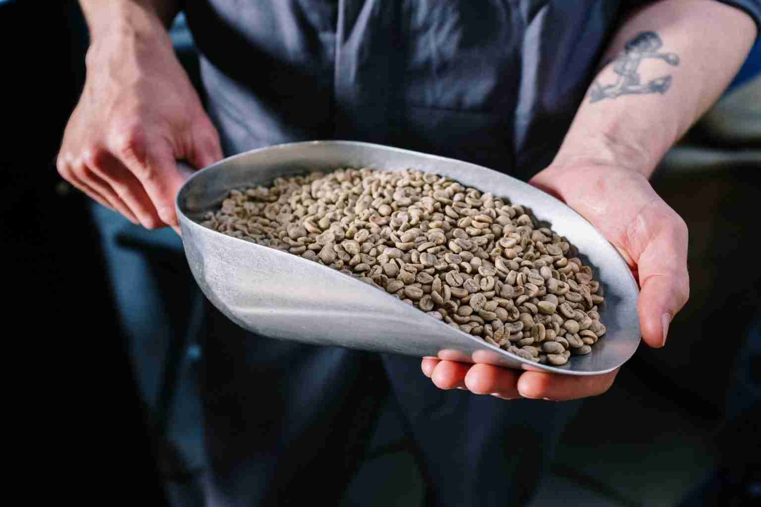 How are Coffee Beans Decaffeinated? Coffee Informer