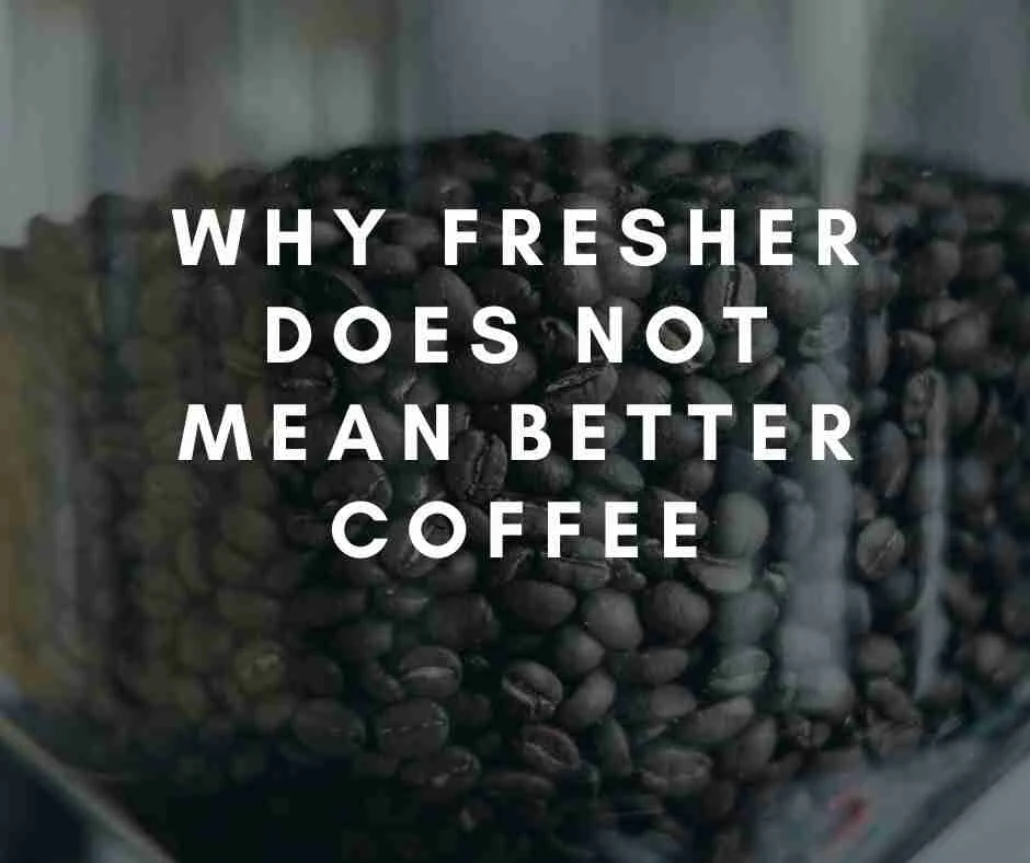 Why Fresher Beans Don't Make Better Coffee 6 Freshly roasted coffee beans