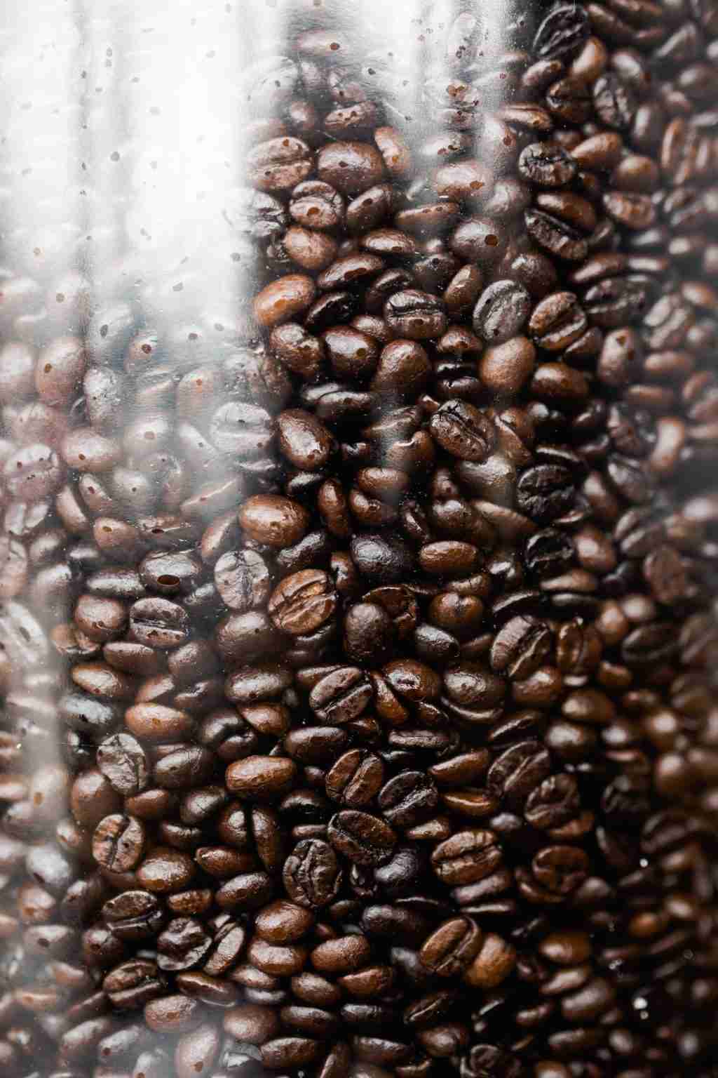 Why Fresher Beans Don’t Make Better Coffee Coffee Informer