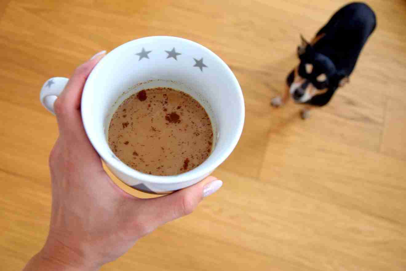 Pet & Caffeine Safety Can Dogs Have Coffee? Coffee Informer
