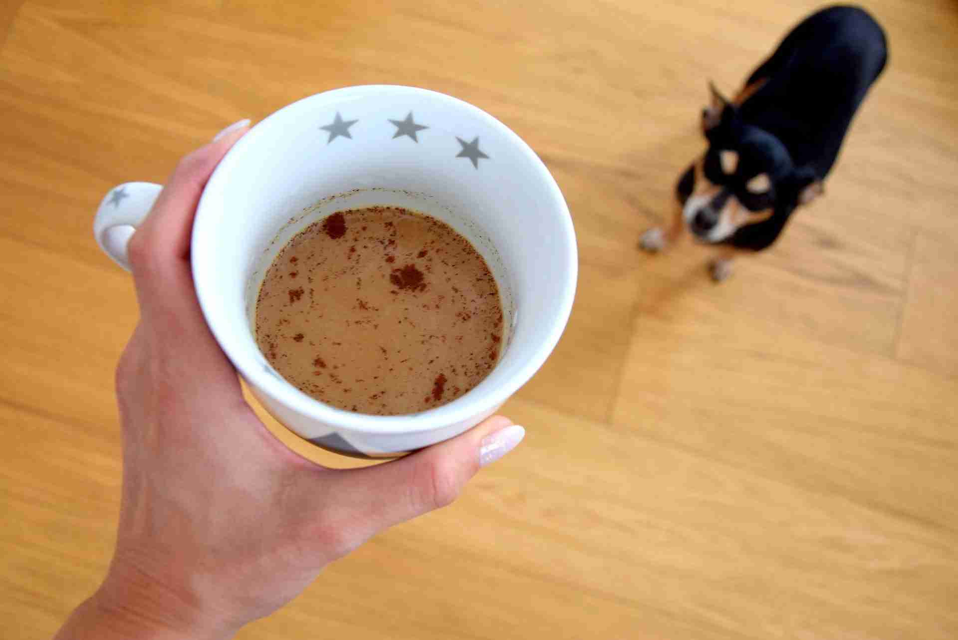 Pet & Caffeine Safety: Can Dogs Have Coffee? - Coffee Informer