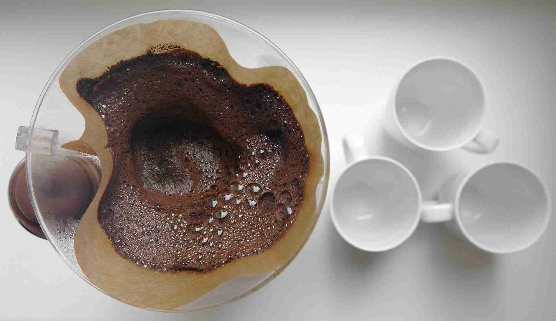 Can you Pour Coffee Grounds Down the Sink? Coffee Informer