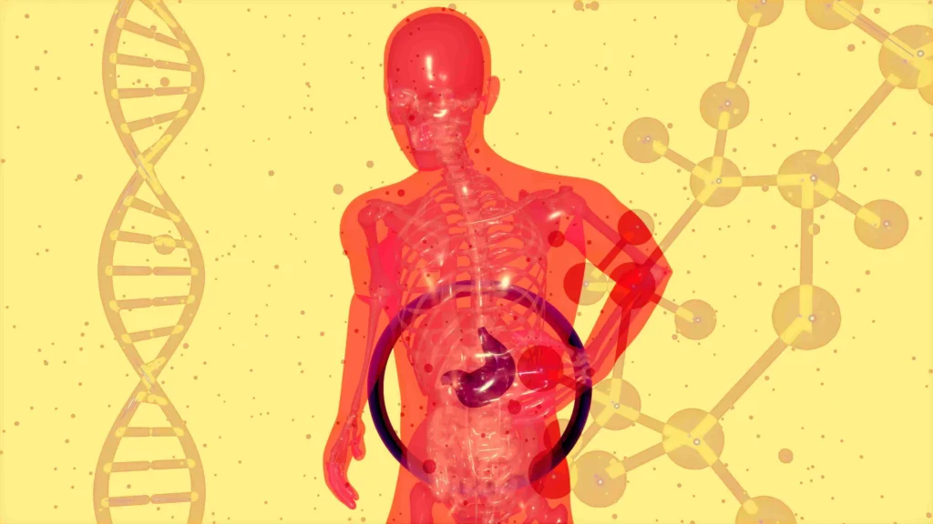How long does 2 cups of coffee stay in your system 11 3D illustration of the human body with a DNA strand and molecule diagram